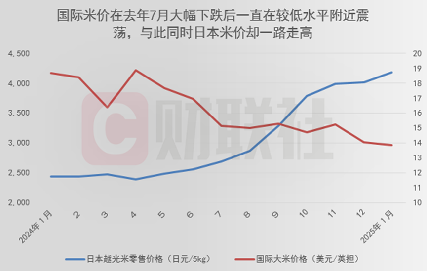 日本又成“异类”！1月大米价格同比暴涨超过80%