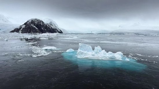 “没赔偿，感觉很亏”！数百人滞留南极，一大半是中国人！有游客称一行人多花20万元