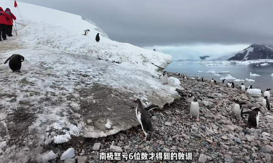 “没赔偿	，感觉很亏”！数百人滞留南极，一大半是中国人！有游客称一行人多花20万元