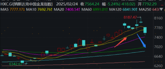 股债怎么配|科技股走出过山车，背后究竟发生了什么？